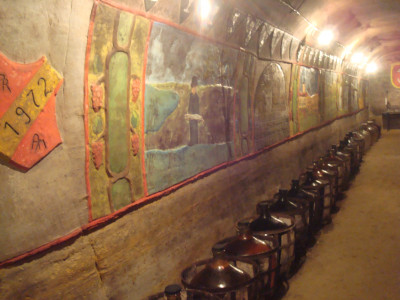 Malovaný sklep Sedlešovice31