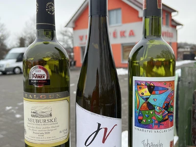 Malovaný sklep & Vinotéka Znojmo