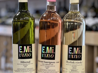 Malovaný sklep & Vinotéka Znojmo