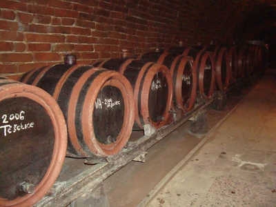 Malovaný sklep Sedlešovice02