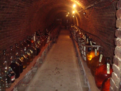 Malovaný sklep Sedlešovice11