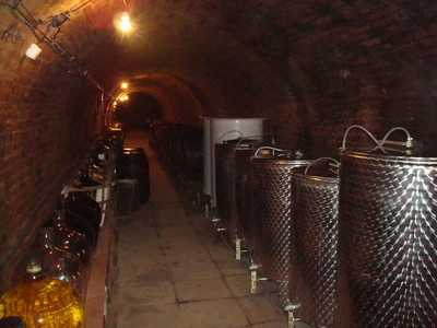 Malovaný sklep Sedlešovice13