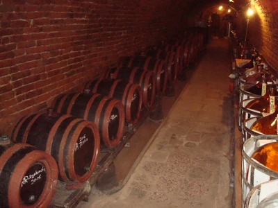 Malovaný sklep Sedlešovice20