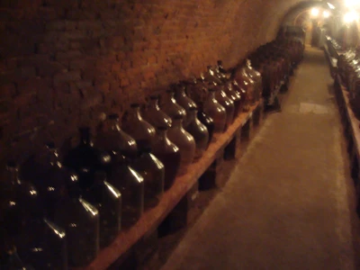 Malovaný sklep Sedlešovice28