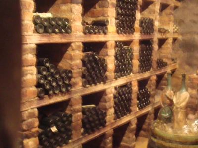 Malovaný sklep Sedlešovice33