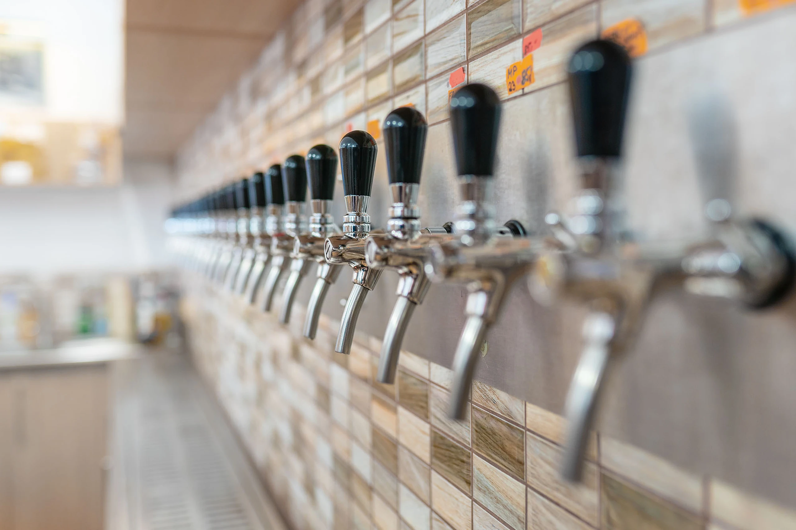 KVALITNÍ VÍNA Z MORAVY A ČECH