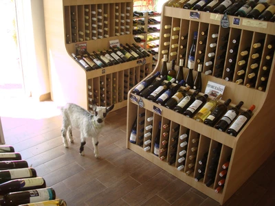 Život ve vinotéce 201706