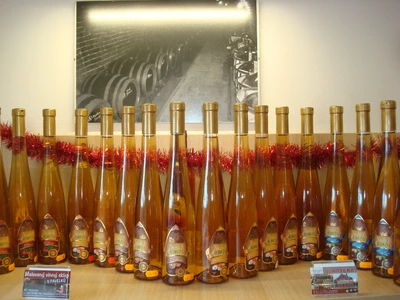 Život ve vinotéce 201719