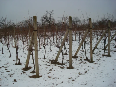 Život ve vinotéce 201725