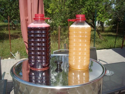 Život ve vinotéce 201757